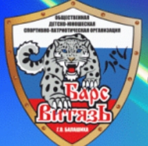 Барс-Витязь — логотип