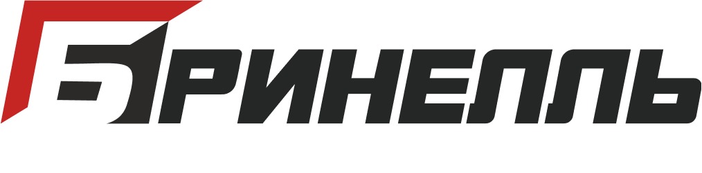 Бринелль Хабаровск — логотип