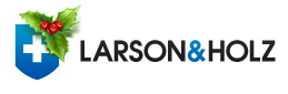 Larson&Holz IT Ltd — логотип