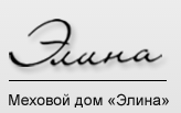 Элина — логотип