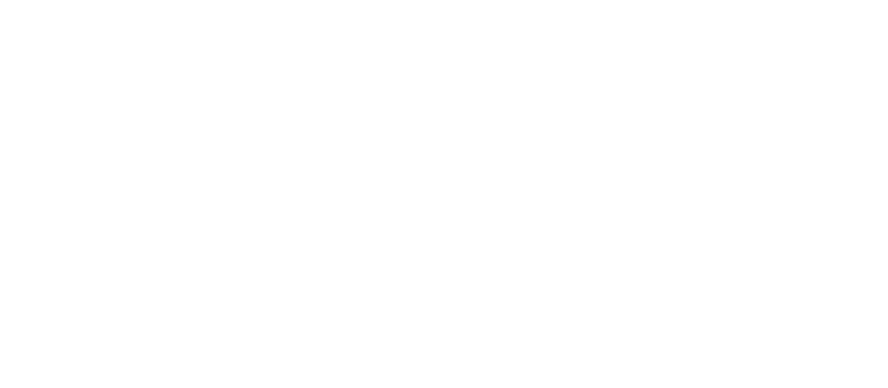 Автошум — логотип