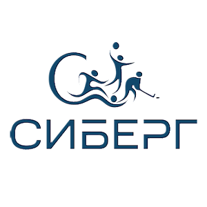 Сиберг, Великий Новгород — логотип