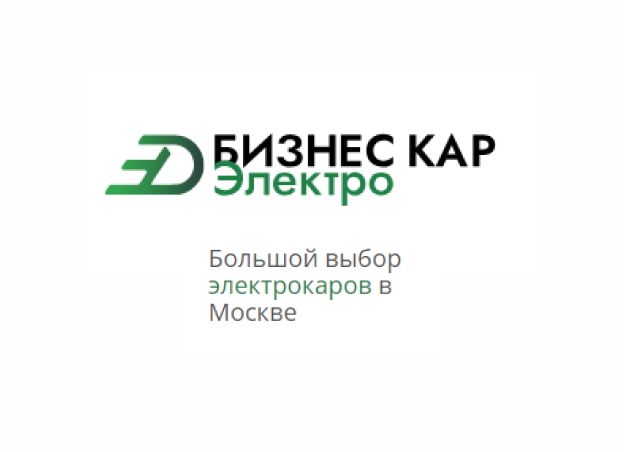 Бизнес Кар Электро Левобережный — логотип