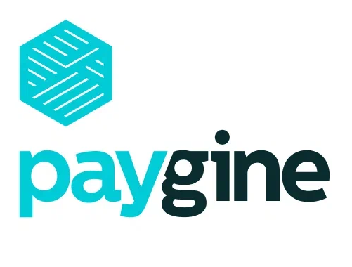 Paygine — логотип