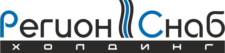 Регионснабхолдинг — логотип