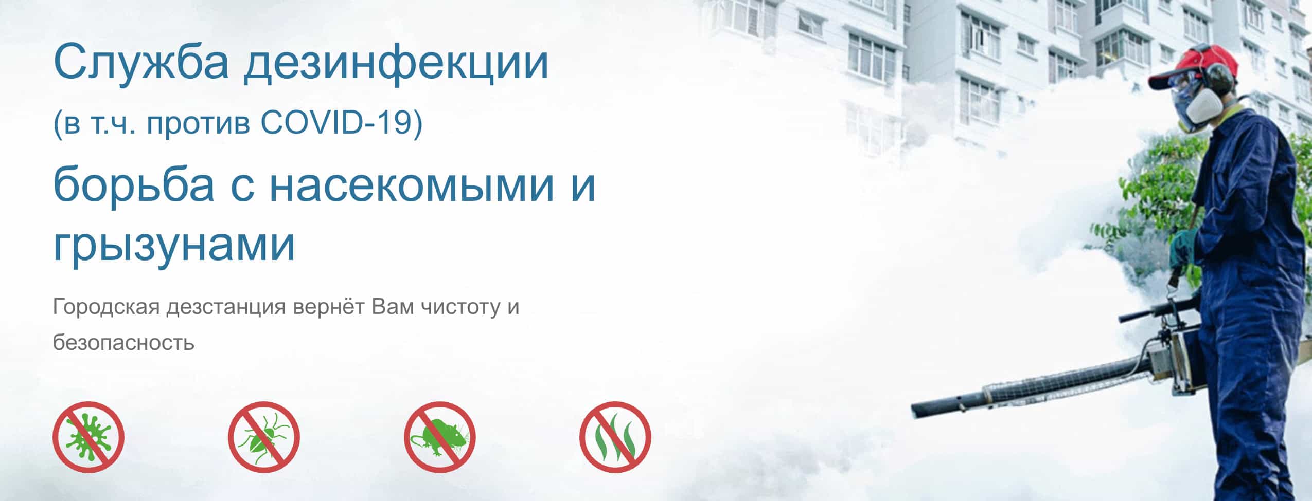 Экосити — логотип