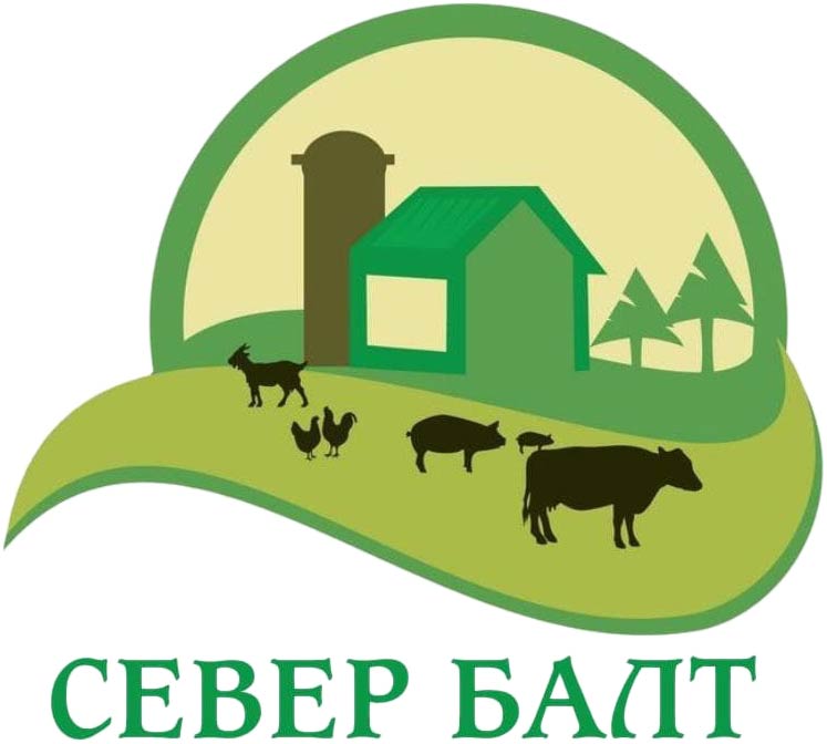 Cевер-Балт — логотип